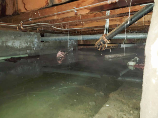 Best Commercial water damage restoration  in Middletown, CA