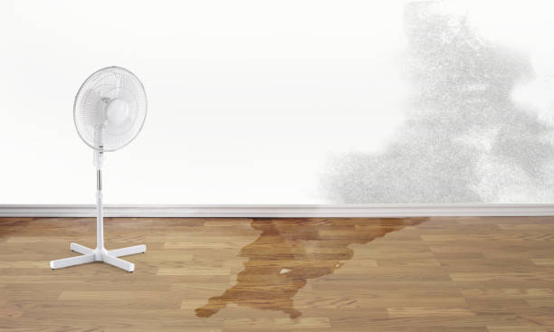 Best Fire Damage Restoration  in Middletown, CA