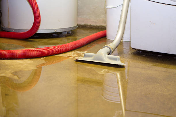 Best Water damage cleanup near me  in Middletown, CA
